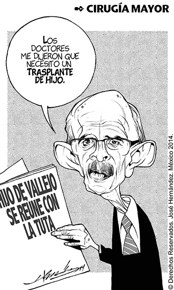 Cirugía mayor.